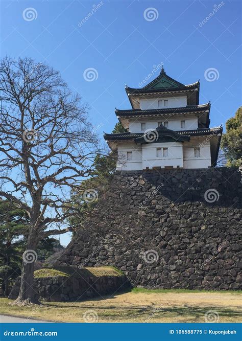 Kochi, Japan - March 26, 2015 : General View of Kochi Castle in Stock Image - Image of history ...