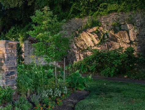 The Chestnut Hill Garden District Fund: We Flower the Avenue