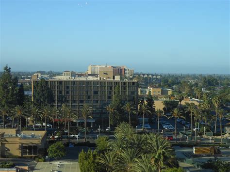 Sheraton Park Hotel at the Anaheim Resort – Loyalty Traveler