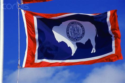 wyoming state flag | Wyoming | Wyoming state, Flags of the world, Flag