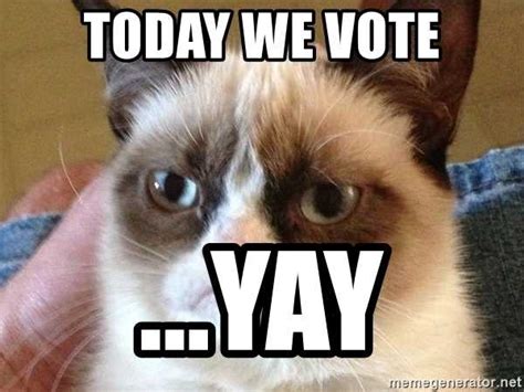 24 Funny And Cute Voting Memes Because You Gotta Vote And Make Your Voice Heard