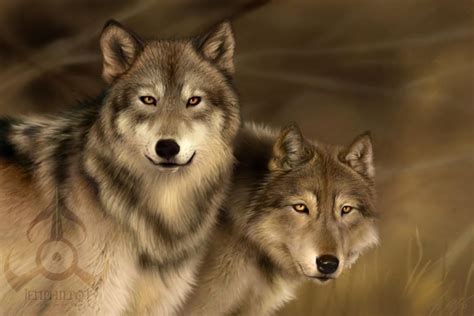 Free Wolf Screensavers and Wallpaper - WallpaperSafari