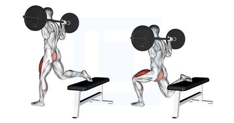 Barbell One Leg Squat - Guide, Benefits, and Form