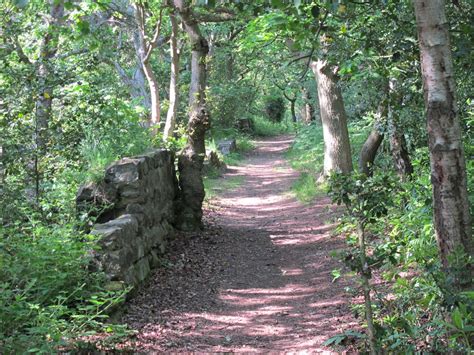 Bidston Hill Today - Bidston Lighthouse