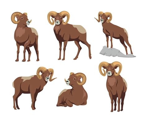 Ram animal Vectors & Illustrations for Free Download | Freepik