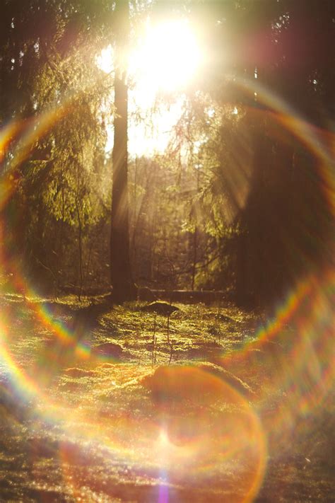 With the attached photo, is this just lens flare? - Photography Stack ...