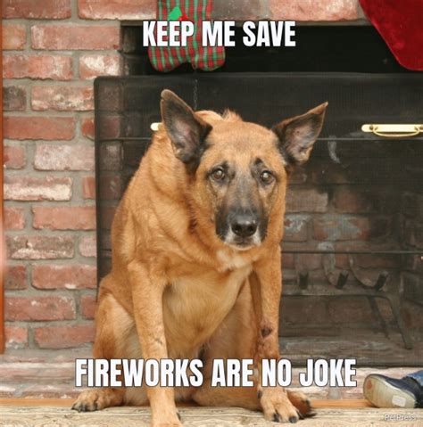 scared dog of fireworks meme | PetPress