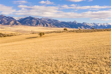 Wapiti Ranch - Montana | Fay Ranches