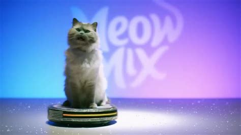 Iconic Meow Mix jingle is re-imagined in newest campaign | shots