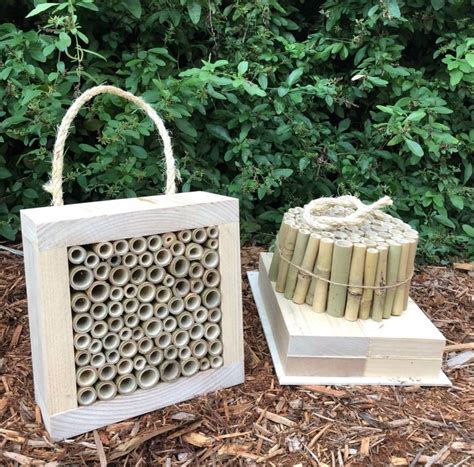 DIY Solitary Native Bee Hotel | Australian Ladybird and Insect House | All Bamboo Small DIY Kit ...