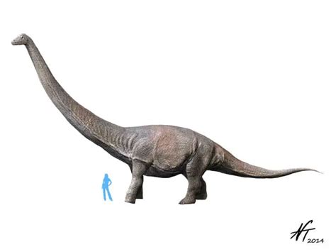 Dreadnoughtus | Dinosaurs - Pictures and Facts