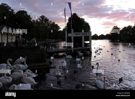 The River Thames at Windsor at sunset Stock Photo - Alamy