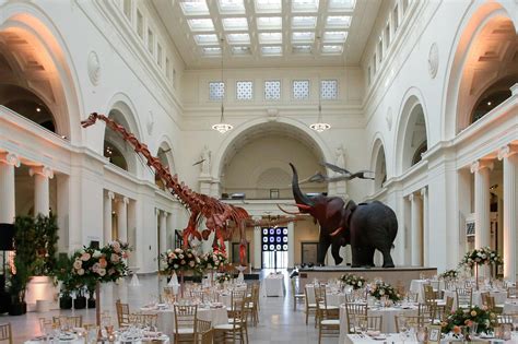 Field Museum | Chicago Venue | All Events | 825 photos on PartySlate