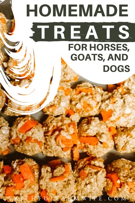 Make homemade horse treats for the equine members of your family with ...