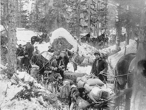 Trail Near Skagway, Alaska, 1898 | Klondike gold rush, Klondike, Skagway