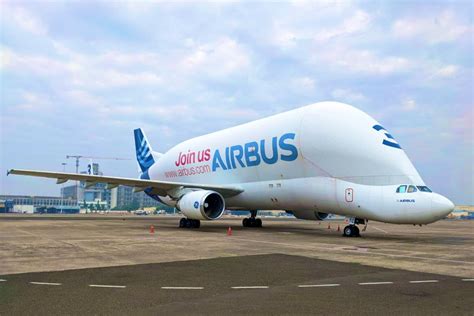 Airbus Beluga Makes Rare Landing in Kolkata as Passengers Spot Whale ...