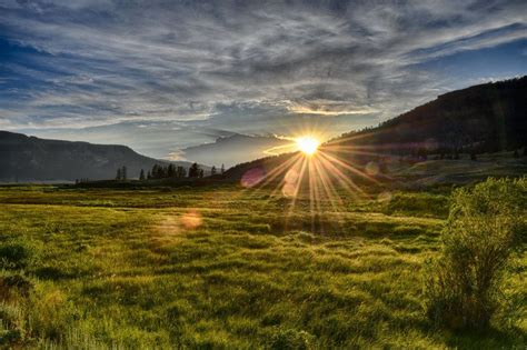 Yellowstone Lamar Valley Wildlife and Canyons Photo Gallery - Story at Every Corner ...