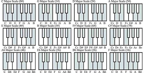 What are music scales?