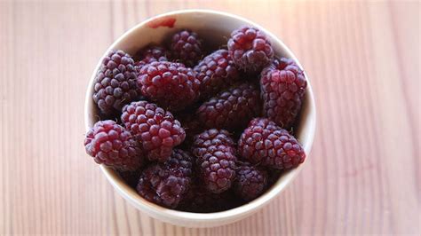 6 Oregon berries that go beyond Marions - oregonlive.com