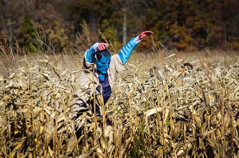 11 Festive Corn Mazes in Ohio to Explore This Fall