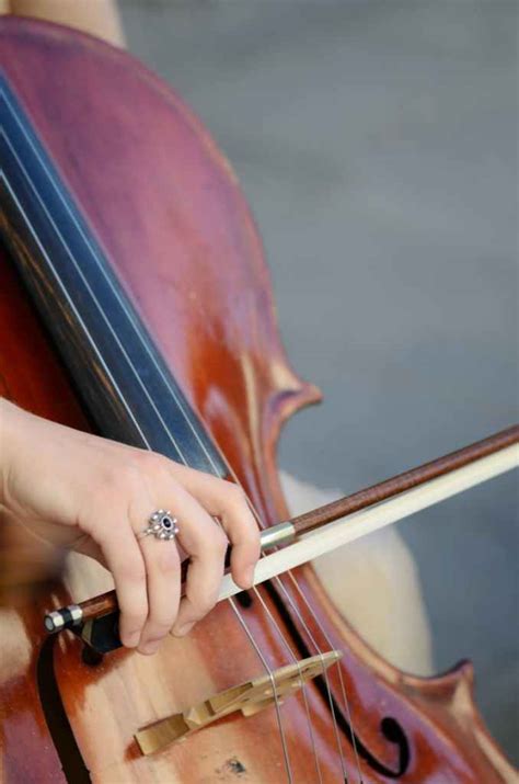 The 6 Best Cello Strings – CelloGuide