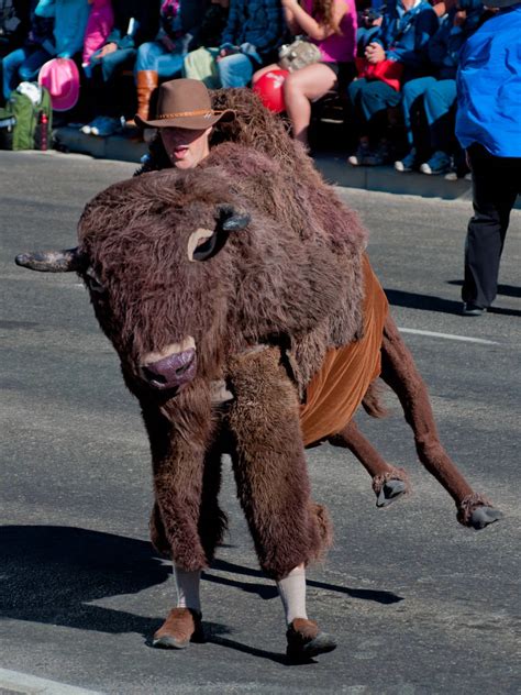 Buffalo Costume by GamutVision on DeviantArt