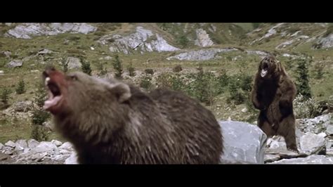 The Bear (1988) Absolutely loved this movie as a kid. : r/nostalgia