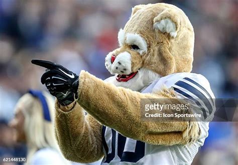 166 Byu Mascot Cosmo Stock Photos, High-Res Pictures, and Images ...