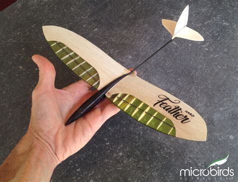 Micro Owl hobby glider size of your palm 12" wingspan | Rc glider ...