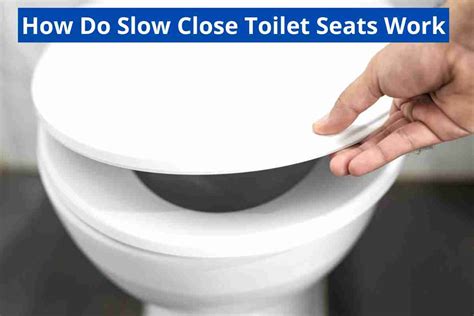 How Do Soft Close Toilet Seats Work(Hinges Close Slowly)2024