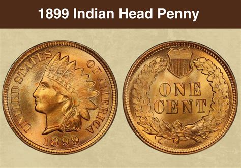 1899 Indian Head Penny Coin Value (Errors List & No Mint Mark Worth ...