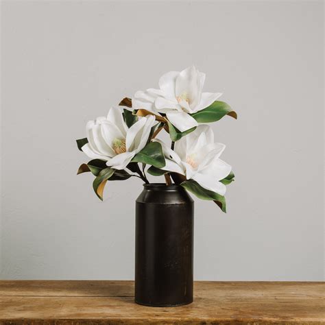 Large Magnolia Stem Magnolia Leaves, Magnolia Flower, White Magnolia, Flower Arrangements Simple ...