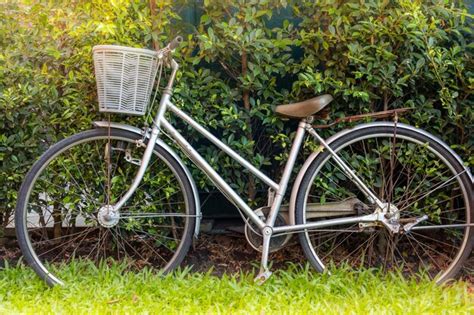 Premium Photo | Vintage bicycle parked in a green grassy and tree in garden on shining sunshine.