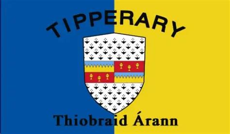 County Tipperary flag Irish State County Flag 3x5FT banner 100D ...