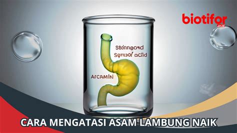 Cara Mengatasi Asam Lambung Naik Secara Alami - Biotifor