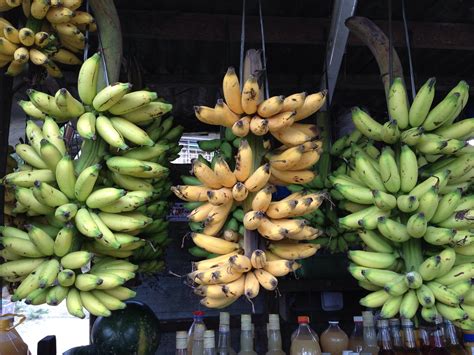 "Señorita" is a popular local banana in Tagaytay and the l… | Flickr