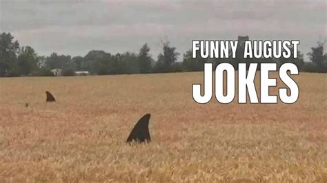 40 Funny August Jokes & Puns For The 8th Month Of 2024