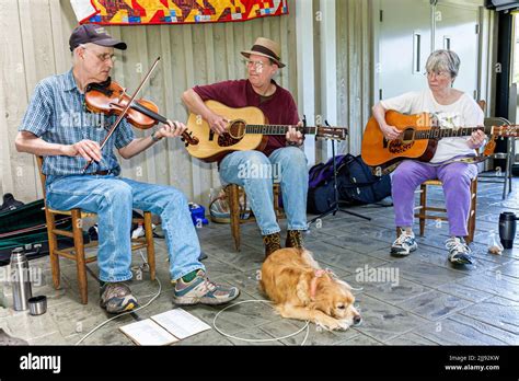 Dog dogs musicians playing fiddle guitar performing hi-res stock photography and images - Alamy