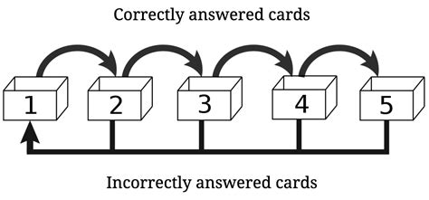 The power of spaced repetition and flashcards - Ness Labs