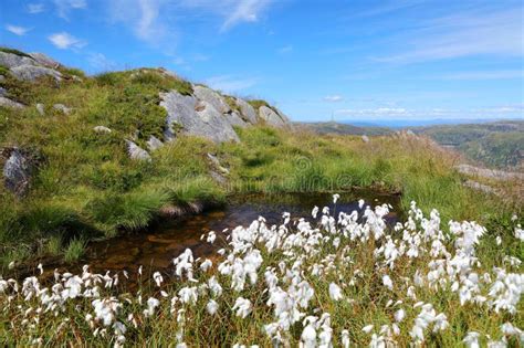 Ulriken Mountain in Bergen, Norway Stock Image - Image of ulriken ...