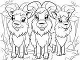 Three Billy Goats Gruff Coloring Page  sketch template