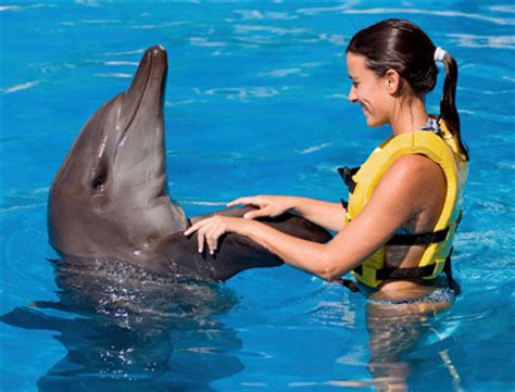 Dolphin Swim At Wet 'n' Wild Cancun - AttractionTix