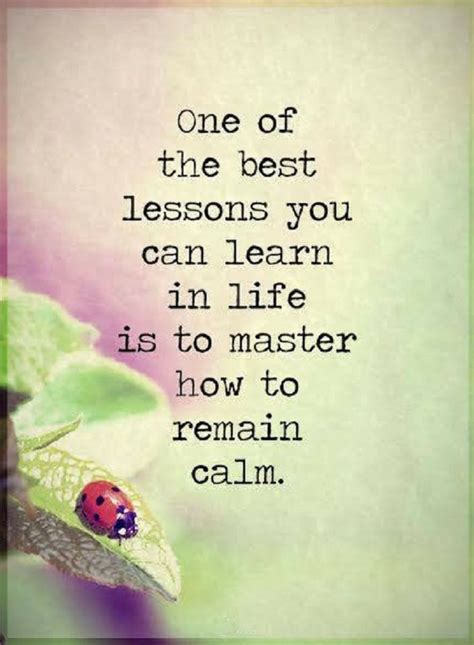 Quotes one of the best lessons you can learn in life is to master how to remain - Quotes