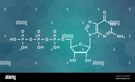 Guanosine triphosphate (GTP) RNA building block molecule. Also used as ...