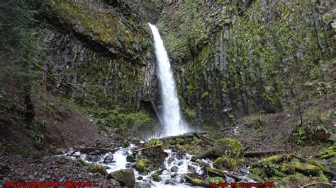 Dry Creek Falls Hike Oregon - Exploring My Life