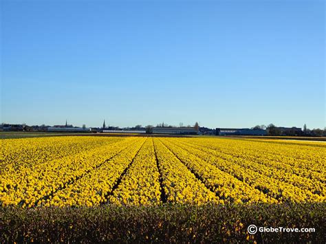 From Amsterdam To Keukenhof Gardens - How To Plan The Perfect Trip ...