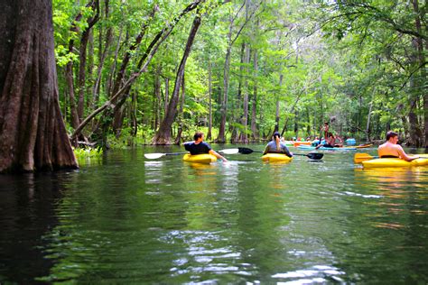 Ichetucknee Springs State Park | Florida State Parks