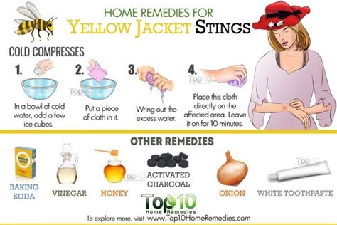 Home Remedies for Yellow Jacket Stings