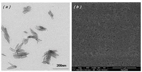 Method for preparing nano hydroxyapatite - Eureka | Patsnap