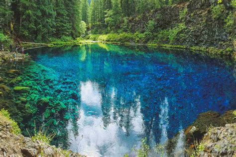 Your Guide To Hiking The McKenzie River Trail - Oregon is for Adventure